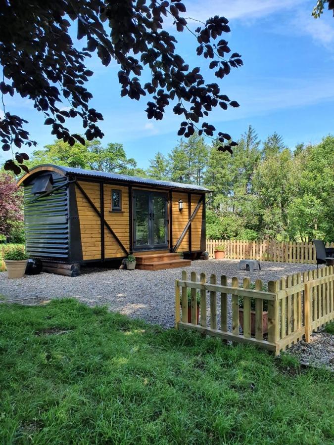 Woodpeckers Luxury tent